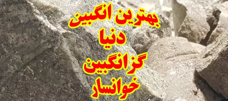 انگبین شناسی