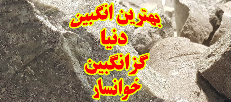 انگبین شناسی